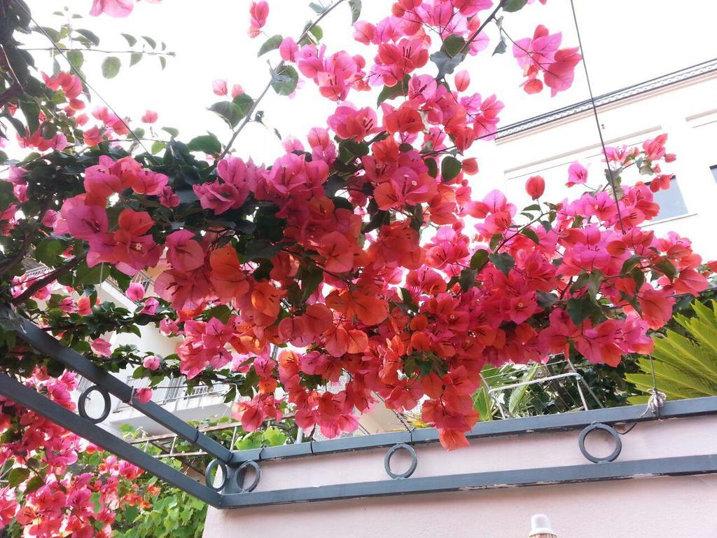 Comfort Apartments بار المظهر الخارجي الصورة