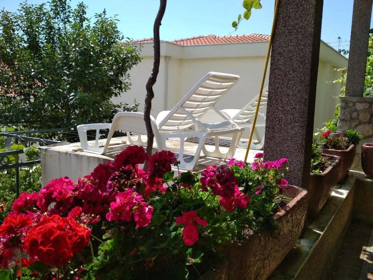 Comfort Apartments بار المظهر الخارجي الصورة