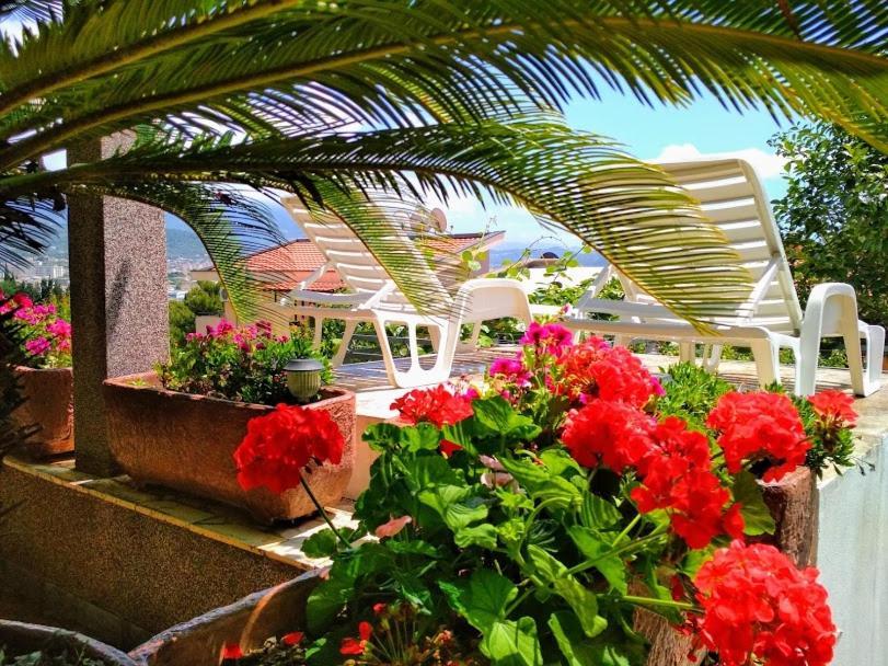 Comfort Apartments بار المظهر الخارجي الصورة